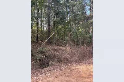 Tbd Glen Nettles Road, Livingston, TX 77351 - Photo 3