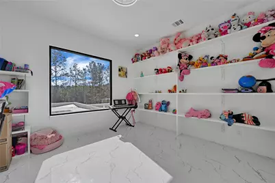 19315 Desna Drive, Porter, TX 77365 - Photo 21