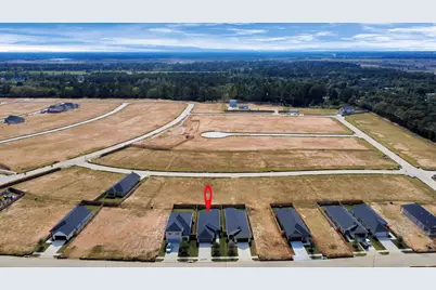 20943 Carob Tree Lane, Tomball, TX 77377 - Photo 3