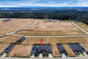 20943 Carob Tree Ln, Tomball, TX 77377 - Photo 3