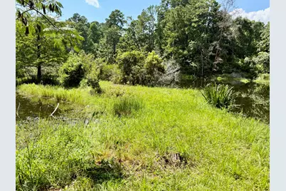 630 Hillbilly Heaven Road, Livingston, TX 77351 - Photo 15