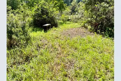 630 Hillbilly Heaven Road, Livingston, TX 77351 - Photo 13