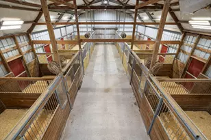 9103 Jeske Rd, Needville, TX 77461 - Photo 47