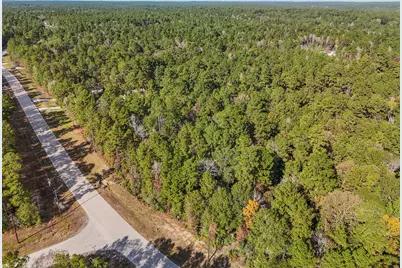 0 Windmill Road, New Waverly, TX 77358 - Photo 9