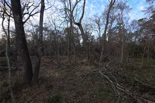 1302 N Lake Dr, Splendora, TX 77372 - Photo 7