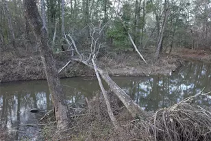 1302 N Lake Dr, Splendora, TX 77372 - Photo 11