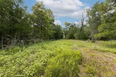 4074 Bucksnort Road, Franklin, TX 77856 - Photo 31