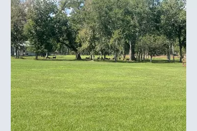 802 China Grove Drive, Rosharon, TX 77583 - Photo 17