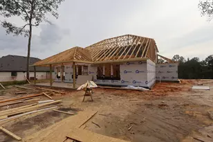 122 Roebuck Lane, New Waverly, TX 77358 - Photo 3