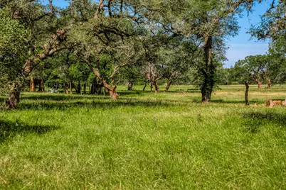 330 N Nassau Road, Round Top, TX 78954 - Photo 7