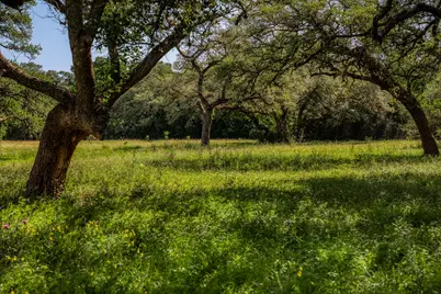 330 N Nassau Road, Round Top, TX 78954 - Photo 5