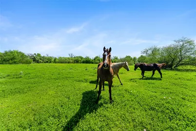 0 Fm 1161, Hungerford, TX 77448 - Photo 43