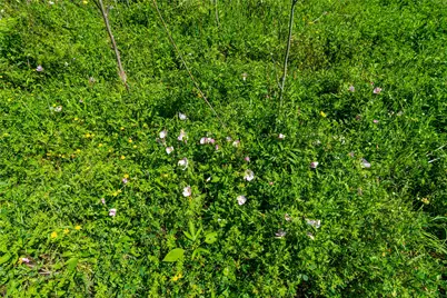 0 Fm 1161, Hungerford, TX 77448 - Photo 35