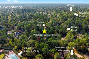 263 S Crimson Clover Ct, The Woodlands, TX 77381 - Photo 47