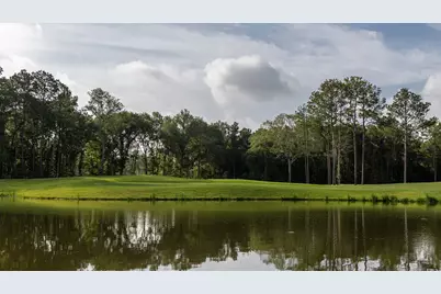 9636 Mount Brewer Lane, Porter, TX 77365 - Photo 19
