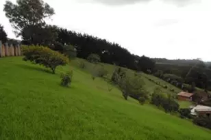 000 Santa Barbara, Santa Barbara, CA - Photo 25