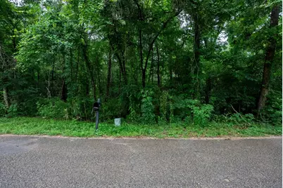 0000 Royal Springs Road, Conroe, TX 77303 - Photo 3