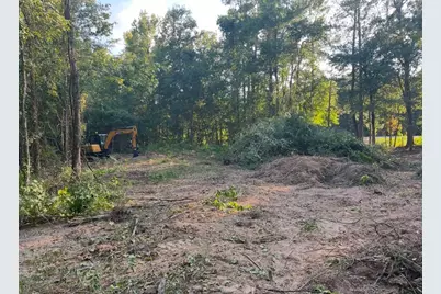 Lot 24 Hwy 96, Pineland, TX 76968 - Photo 3