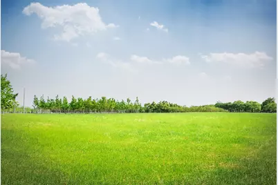 540 Road 5105, Cleveland, TX 77327 - Photo 1
