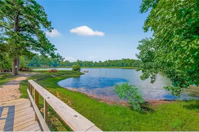 701 Saint Lawrence River Road, Montgomery, TX 77316 - Photo 11