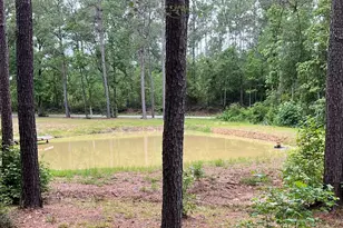 768 Co Rd 219, Brookeland, TX 75931 - Photo 7