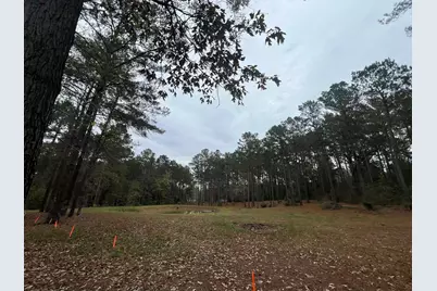 768 County Road 219, Brookeland, TX 75931 - Photo 5