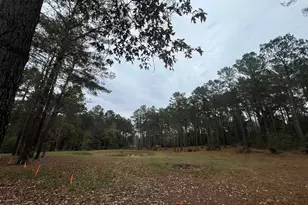 768 Co Rd 219, Brookeland, TX 75931 - Photo 5