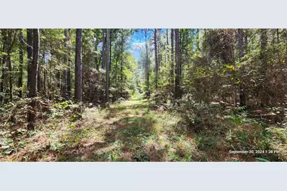 Tbd County Road 405, San Augustine, TX 75972 - Photo 13