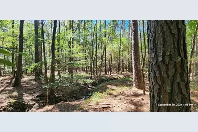 Tbd County Road 405, San Augustine, TX 75972 - Photo 11