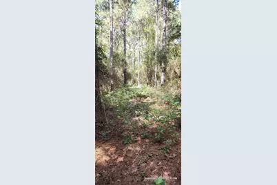 Tbd County Road 405, San Augustine, TX 75972 - Photo 47