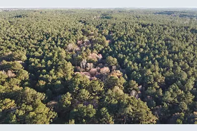 Tbd County Road 405, San Augustine, TX 75972 - Photo 45