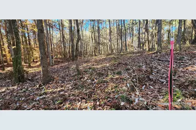 Tbd County Road 405, San Augustine, TX 75972 - Photo 15