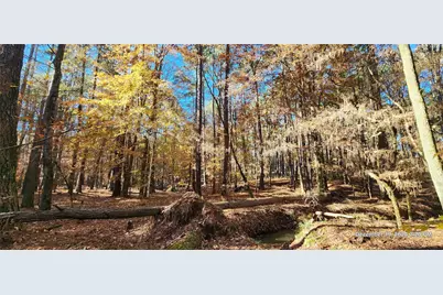 Tbd County Road 405, San Augustine, TX 75972 - Photo 49