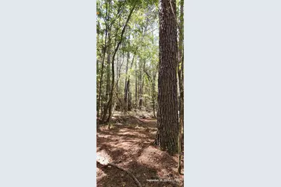 Tbd County Road 405, San Augustine, TX 75972 - Photo 5