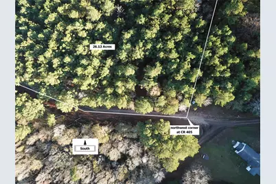 Tbd County Road 405, San Augustine, TX 75972 - Photo 25