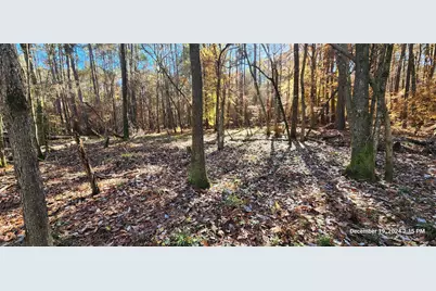 Tbd County Road 405, San Augustine, TX 75972 - Photo 41