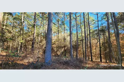 Tbd County Road 405, San Augustine, TX 75972 - Photo 27