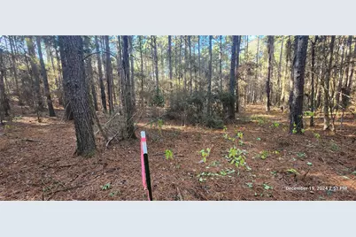 Tbd County Road 405, San Augustine, TX 75972 - Photo 29