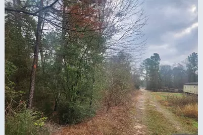 Lot 5 Tupelo Lane, Plantersville, TX 77363 - Photo 3