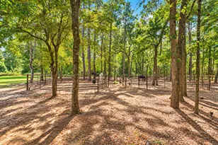 37753 Marias Way, Magnolia, TX 77354 - Photo 47