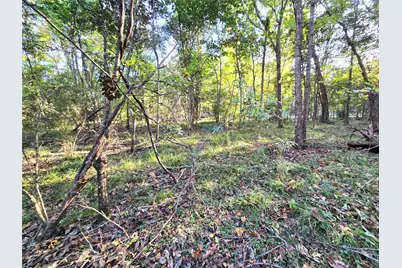 Tbd County Road 2167, Cleveland, TX 77327 - Photo 7