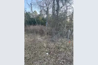 1457 Country Lane, Conroe, TX 77384 - Photo 3