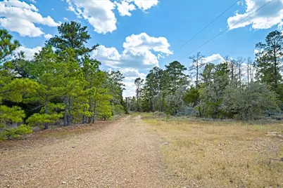 4605 Rocky Creek Road, La Grange, TX 78945 - Photo 3