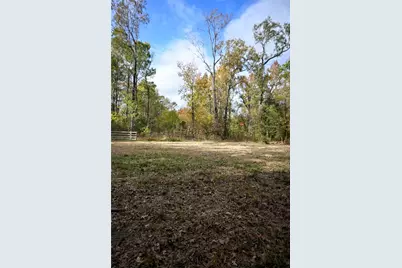 Tbd Jerry Raymond, Wallisville, TX 77597 - Photo 3