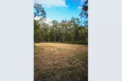 Tbd Jerry Raymond, Wallisville, TX 77597 - Photo 1