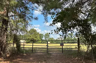 11 Ac W Danville Rd, Willis, TX 77378 - Photo 5