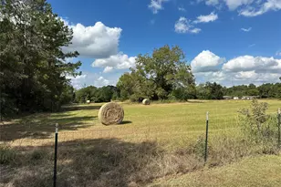11 Ac W Danville Rd, Willis, TX 77378 - Photo 1