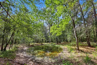 769 County Road 642, Dayton, TX 77535 - Photo 5