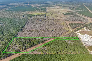 0 Pelican Rd, Shepherd, TX 77371 - Photo 1