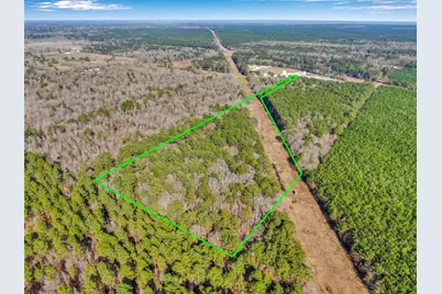 0 Pelican Road, Shepherd, TX 77371 - Photo 3